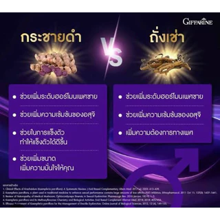กระชายดำ กิฟฟารีน กระชายดำสกัด กระชาย แมกซ์ Krachai Dum สารสกัดโสม ซิงก์ ไลโคพีน และวิตามิน บี12