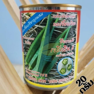เมล็ดพันธุ์ผัก โหระพา คะน้าฮ่องกง กะเพรา เขียวน้อย คะน้าเห็ดหอม คะน้า แมงลัก ขึ้นฉ่าย ผักบุ้ง ผักกาดหอม กวางตุ้ง ผักชี