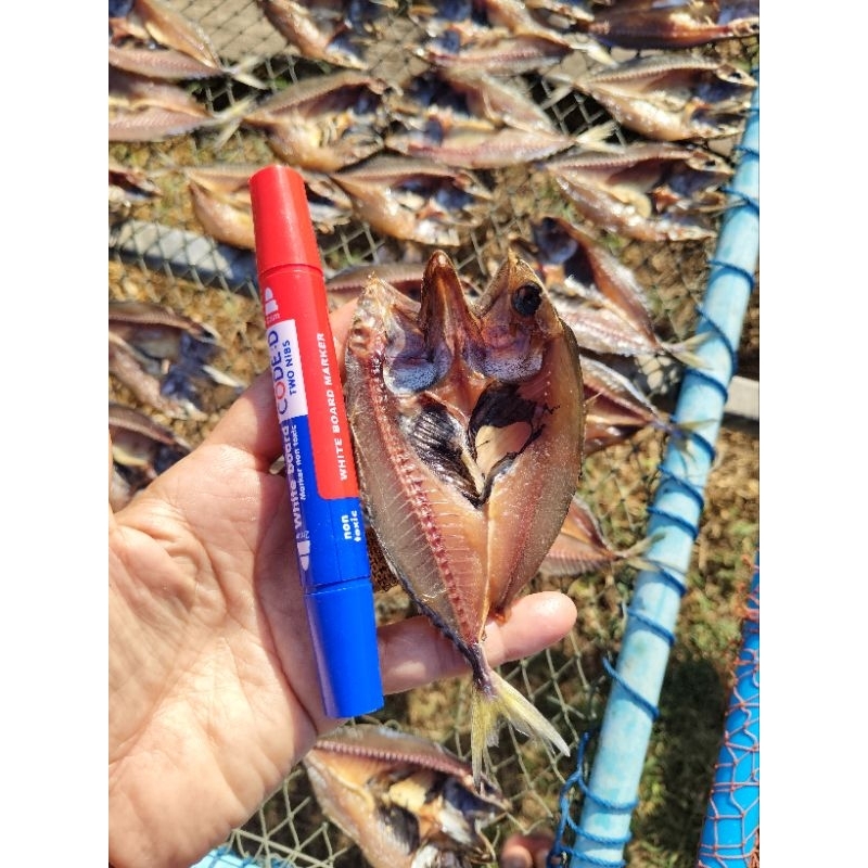 ปลาทูแขก ปลาทูมัน ตัวละ2บาท ตากแห้ง หอมอร่อยทอดกรอบทานได้ทั้งตัว - รูปที่ 2