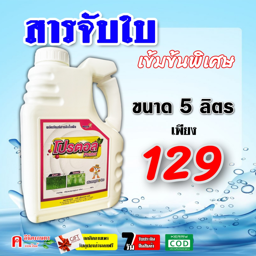โปรตอล ( 5 ลิตร ) สารจับใบ เร่งการดูดซึม สูตรเข้มข้น ใช้น้อย ยาจับใบ สารเสริมประสิทธิภาพ ช่วยให้ยาแทรกซึมได้ดี
