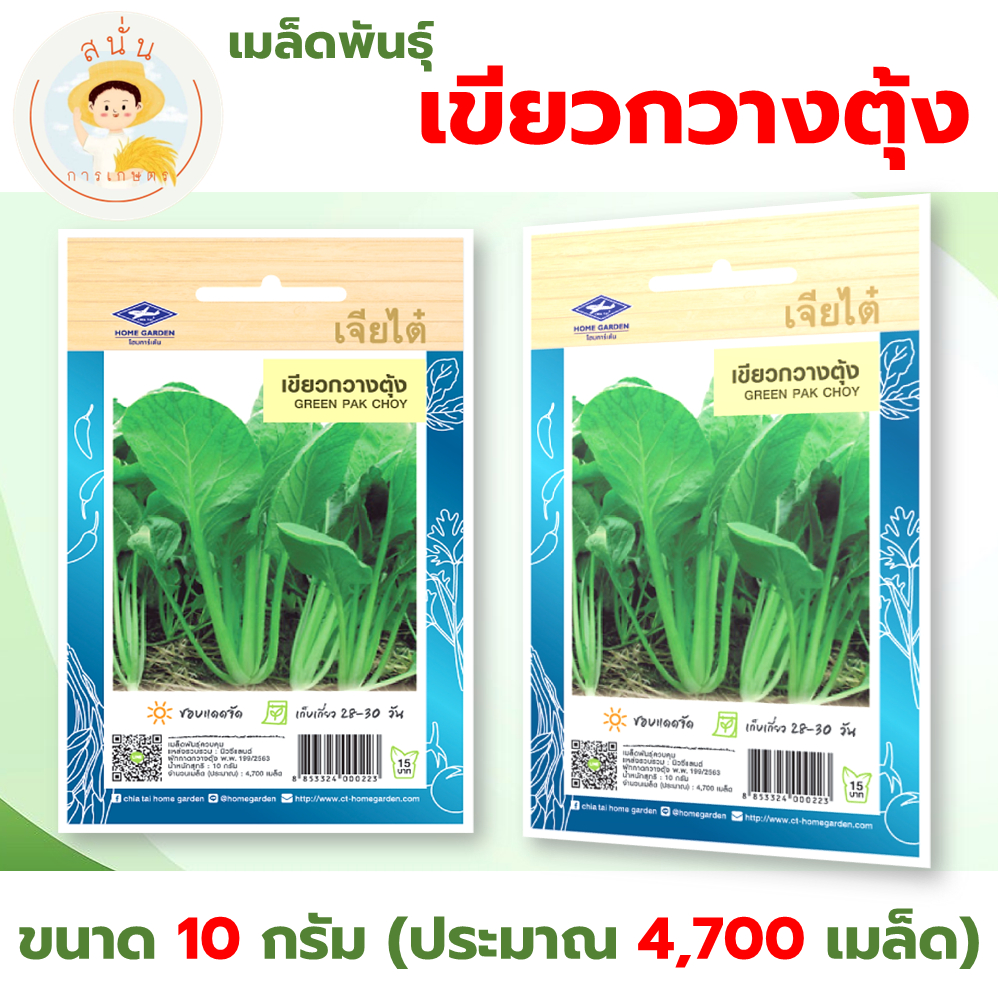 เจียไต๋ (ซื้อ10แถม2) เมล็ดพันธุ์ เขียวกวางตุ้ง ขนาด10กรัม ประมาณ4,700เมล็ด Pak Choy กวางตุ้ง เมล็ดพันธุ์พืช เมล็ดผัก ปลู