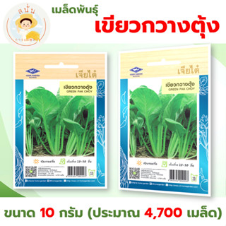 เมล็ดพันธุ์ เขียวกวางตุ้ง (Green Pak Choy) ผักซอง เจียไต๋ OP…