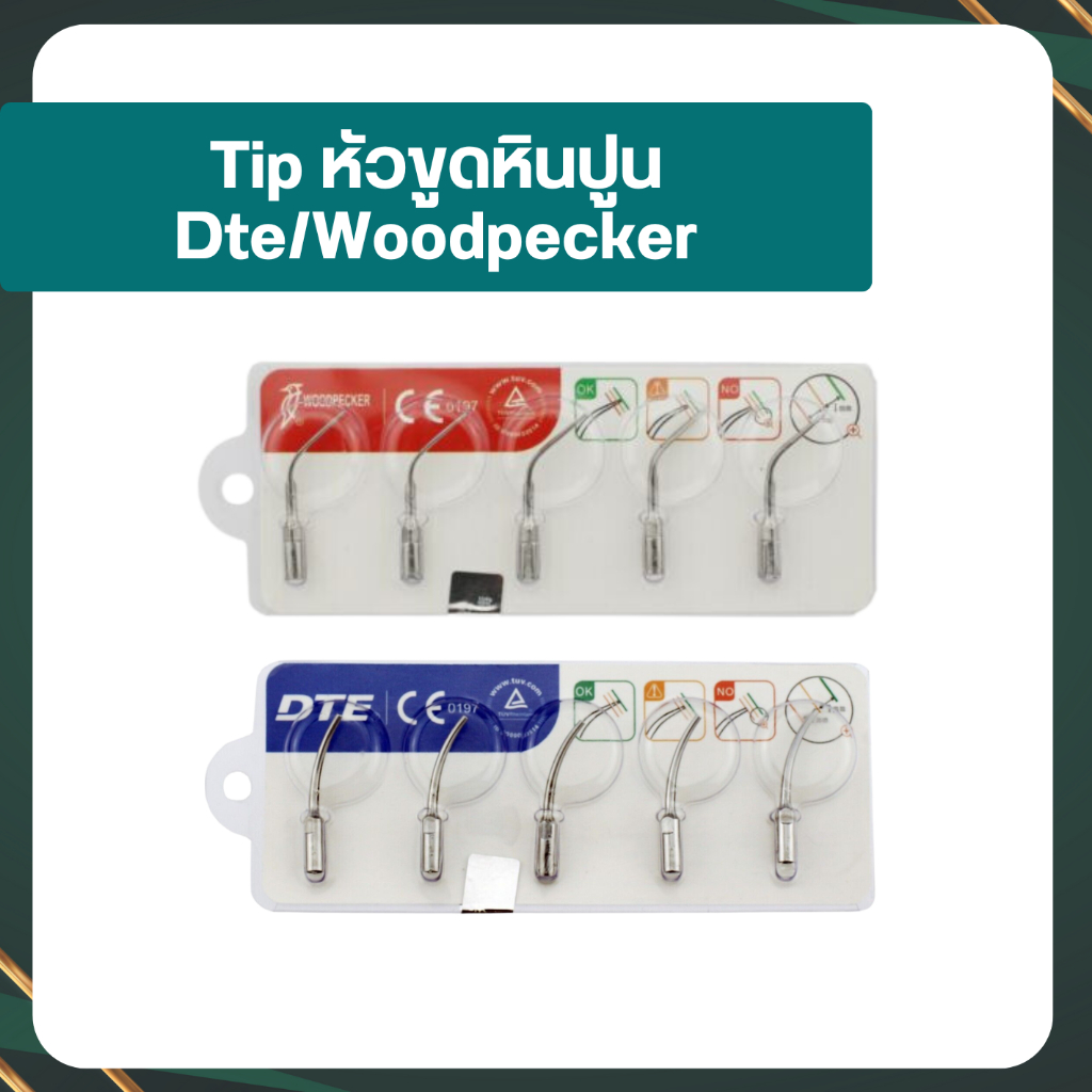 [พร้อมส่ง] หัวขูดหินปูน scaler tip Dte/Woodpecker