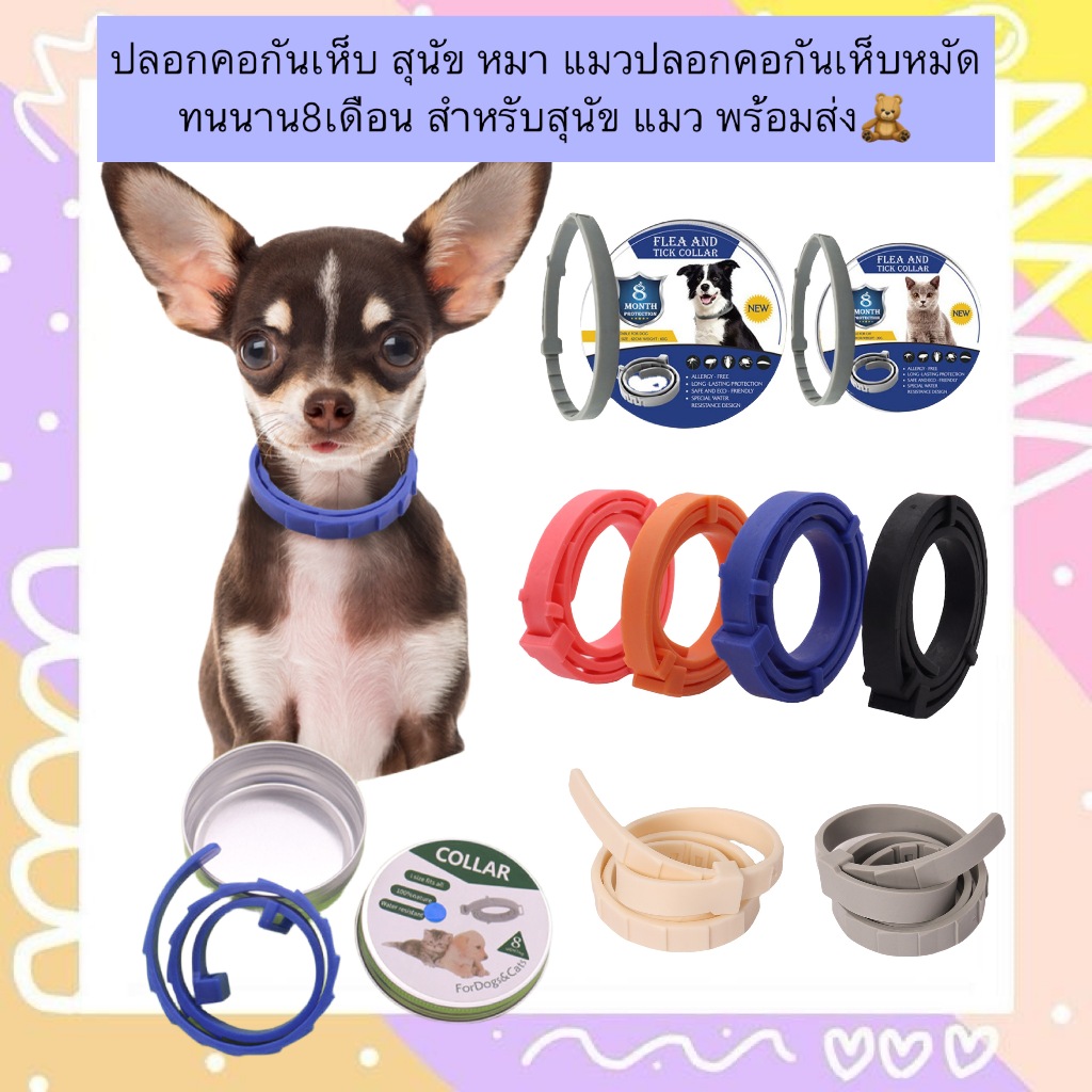 PP-675 ปลอกคอกันเห็บ สุนัข หมา แมวปลอกคอกันเห็บหมัด ทนนาน8เดือน สำหรับสุนัข แมว พร้อมส่ง🧸