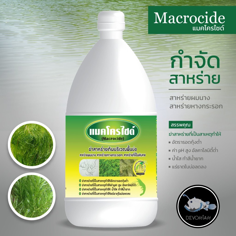 แมคโครไซด์ กำจัดสาหร่ายบริเวรพื้นบ่อ
