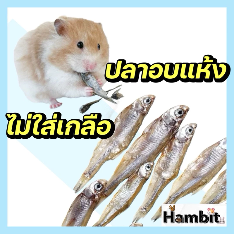 ปลาอบแห้งไม่ใส่เกลือ สำหรับสัตว์ฟันแทะ ขนาด 3 กรัม