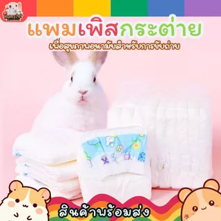 ผ้าอ้อมสัตว์เลี้ยง แพมเพิสสัตว์เลี้ยง ผ้าอ้อมกระต่าย แพมเพิสกระต่าย