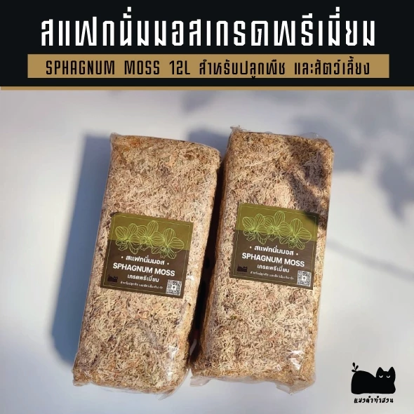 สแฟกนั่มมอส Sphagnum moss 12 L และสเฟกนั่มมอส 50g วัสดุปลูกต้นไม้และใช้สำหรับเลี้ยงสัตว์ ร้านแมวดำทำสวน