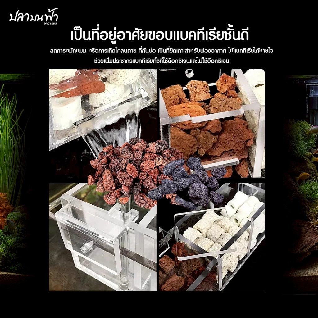 หินลาวาแดง หินลาวาดำ วัสดุกรองตู้ปลา บ่อปลา จากธรรมชาติ จมน้ำ มีรูพรุนสูง ช่วยเป็นที่อยู่ของแบคทีเรียได้เป็นอย่างดี thumbnail 6