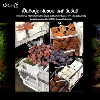 หินลาวาแดง หินลาวาดำ วัสดุกรองตู้ปลา บ่อปลา จากธรรมชาติ จมน้ำ มีรูพรุนสูง ช่วยเป็นที่อยู่ของแบคทีเรียได้เป็นอย่างดี