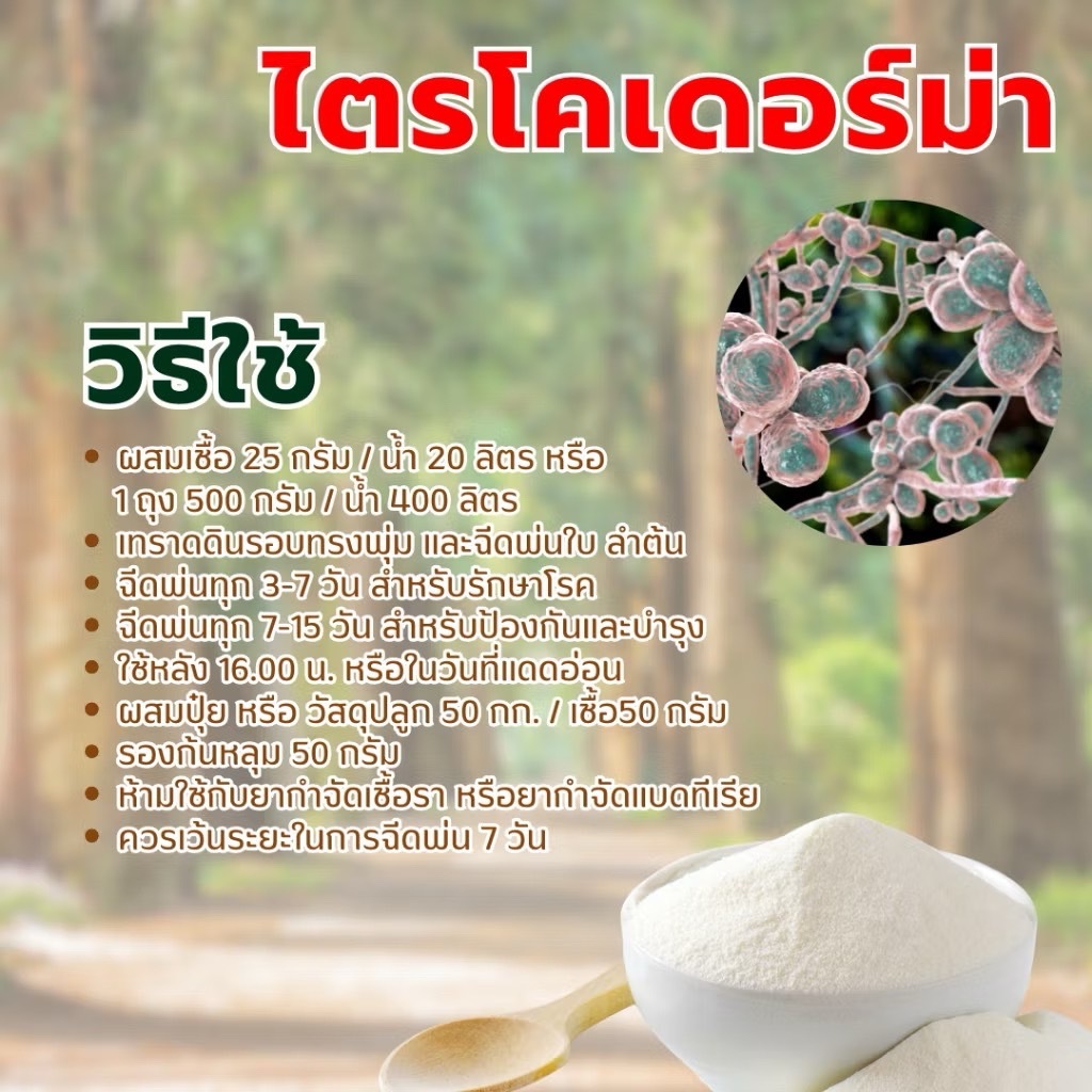 ไตรโคเดอร์ม่า เพิ่มเชื้อสองสายพันธุ์ กัปตันไตรโค ป้องกันเชื้อรา สูตรเข้มข้น แบบผง 100กรัม / 500กรัม รูปที่ 4