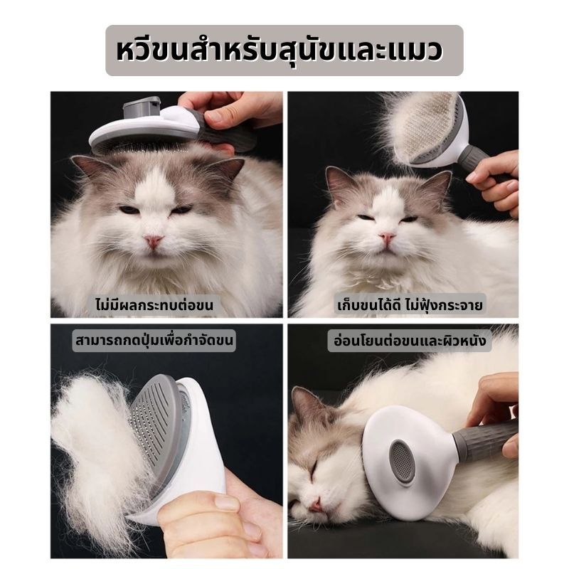 【พร้อมส่ง! 】หวีขน, หวีขนสัตว์เลี้ยง, หวีแมว, หวีสุนัข สามารถใช้ได้ทั้งสุนัขและแมวเพื่อทำความสะอาดและกำจัดขน
