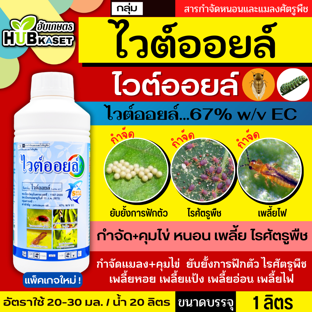 ไวต์ออยล์ 1ลิตร (ไวต์ออยล์) ป้องกันเพลี้ยหอย เพลี้ยไฟ เพลี้ยแป้ง เพลี้ยไก่แจ้ส้ม ไรแดง แมลงหวี่ขาว