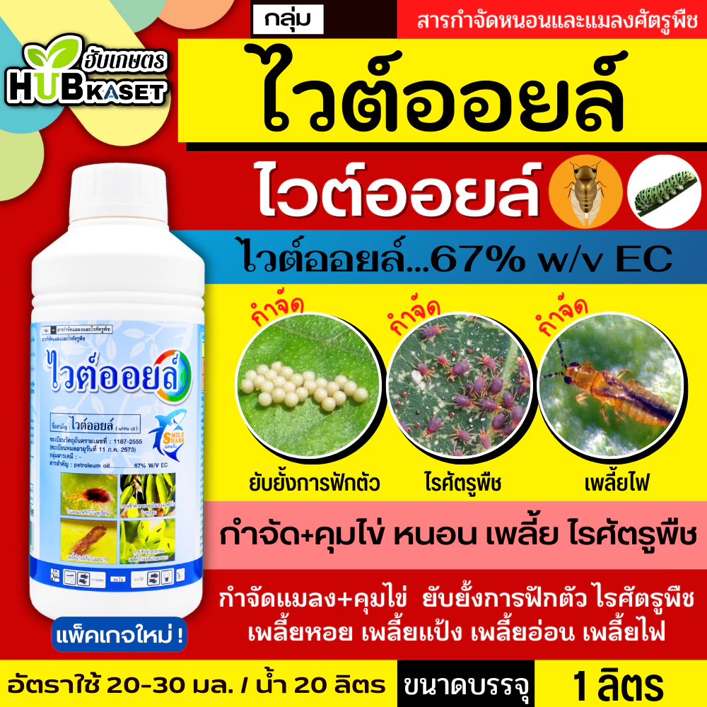ไวต์ออยล์ 1ลิตร (ไวต์ออยล์) ป้องกันเพลี้ยหอย เพลี้ยไฟ เพลี้ยแป้ง เพลี้ยไก่แจ้ส้ม ไรแดง แมลงหวี่ขาว