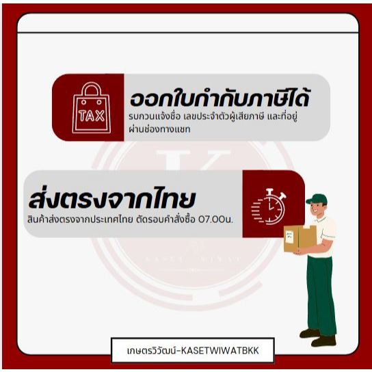 รูปภาพ 9