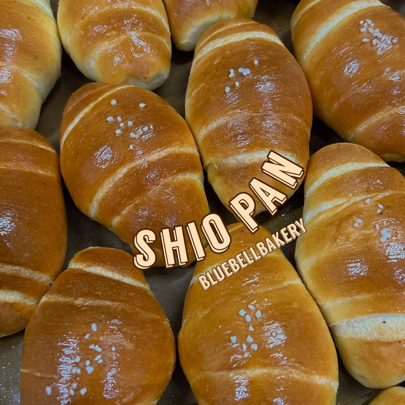 shio pan ขนมปังเกลือ bluebell (ไม่เกิน 3 วันจัดส่ง)