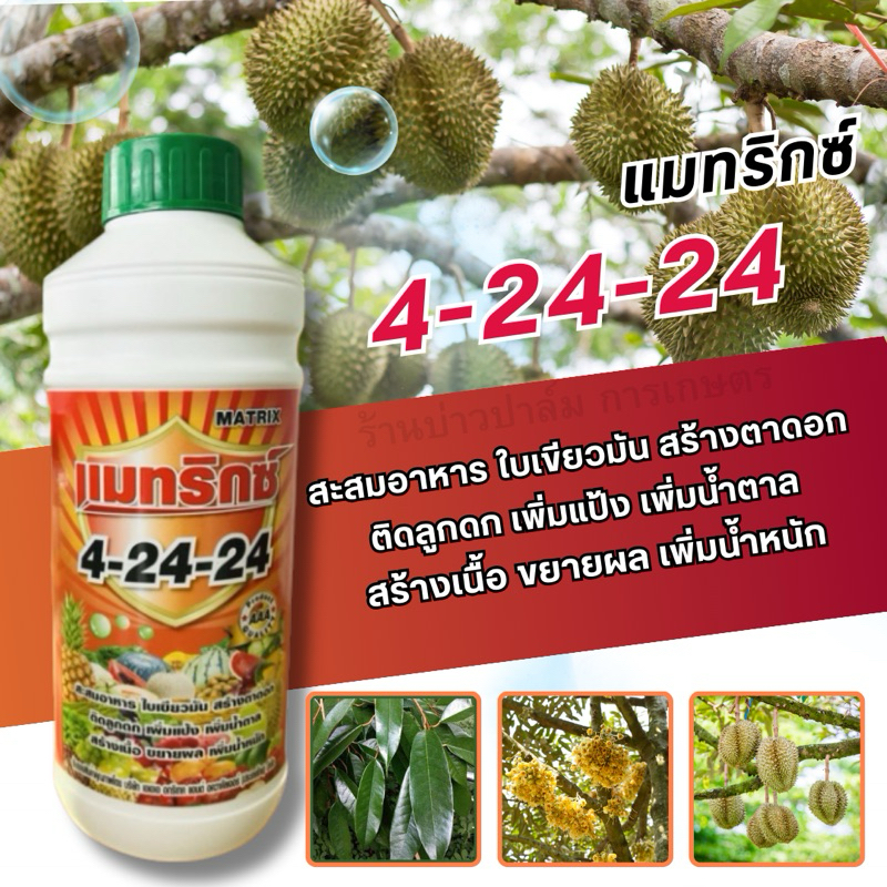 4-24-24 สะสมอาหาร ใบเขียวมัน สร้างตาดอก ติดลูกดก เพิ่มแป้ง เพิ่มน้ำตาล สร้างเนื้อ ขยายผล ขนาด 1 ลิตร