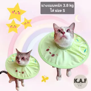 (C03)คอล่าลายโดนัท(พร้อมส่ง!!) สำหรับสัตว์เลี้ยงทำหมัน หรือบาดเจ็บ ลำโพงกันเลีย สุนัข แมว