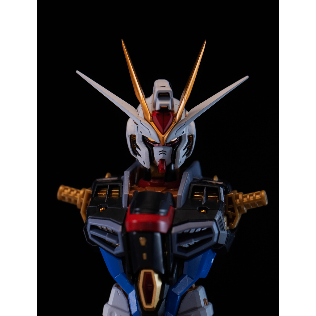 Minerval Hobby MG MB MC 8802 MGEX 1/100 หัว Head Strike Freedom เฉพาะหัว โมจีน ประกอบเป็น keycap ได้