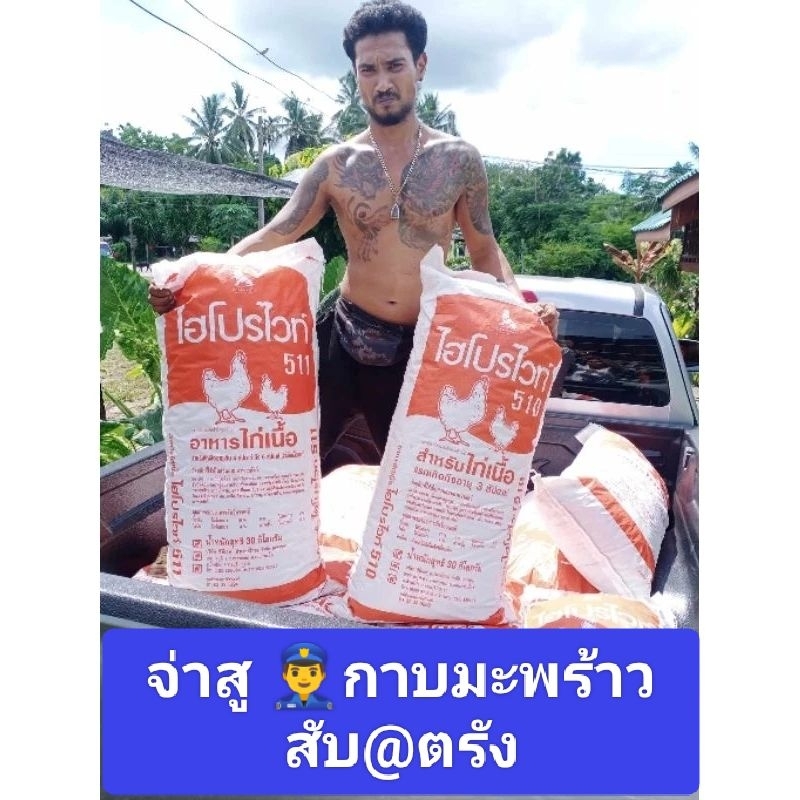 กาบมะพร้าวสับ งานกระสอบใหญ่ 1กระสอบ หนักกระสอบละ 4-5กิโล จะสั่งเยอะๆ 100 กระสอบ 200 กระสอบมีของพร้อมส่งนะคะ จ่าสู