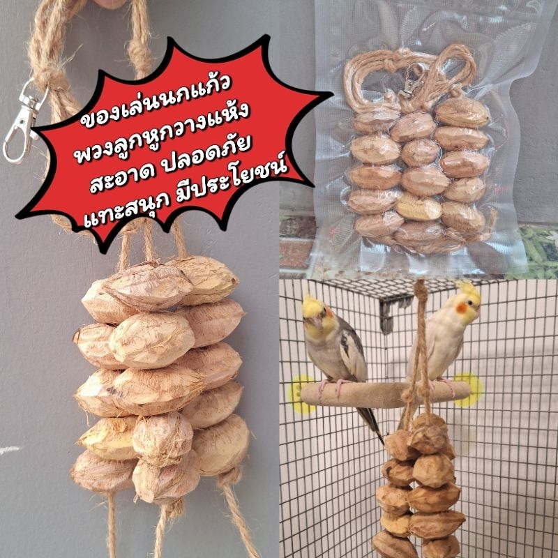 ของเล่นนก พวงลูกหูกวางแห้ง มีประโยชน์ ปลอดภัย แทะเล่นสนุก ลดอาการนกเสียงดัง