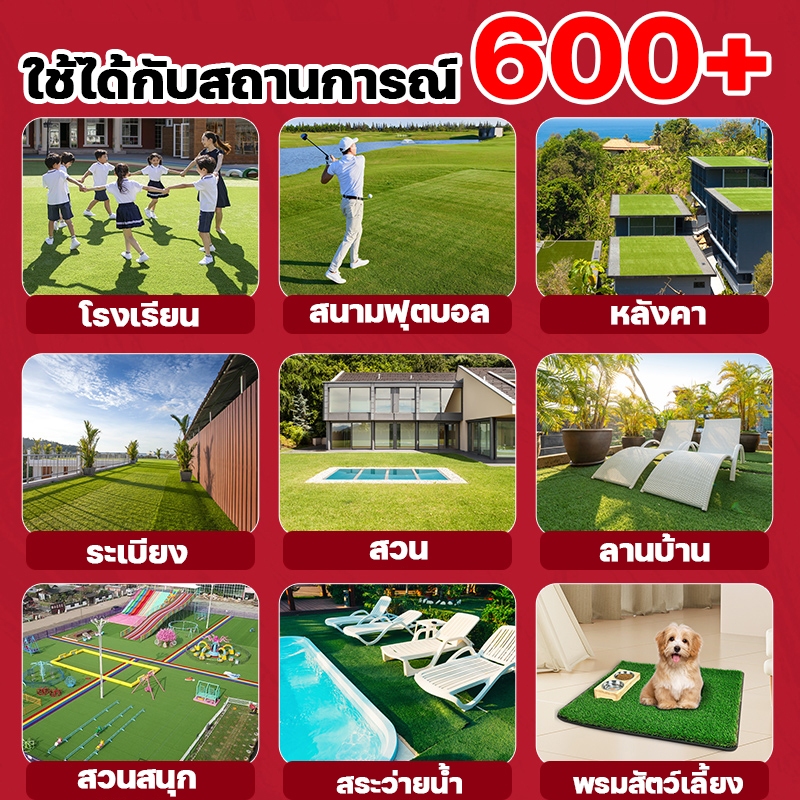 รูปภาพ 8