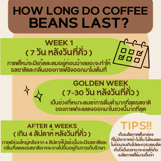 เมล็ดกาแฟคั่ว 250กรัม สำหรับเอสเย็นโดยเฉพาะ Between House Blend For Es Yenn
