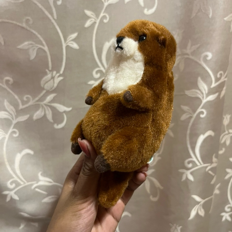 ตุ๊กตานาก Otter Crawling Otter ตัวนาก นาก  Otter Stuffed Animal  Small-clawed Otter ตุ๊กตาสัตว์เหมือ