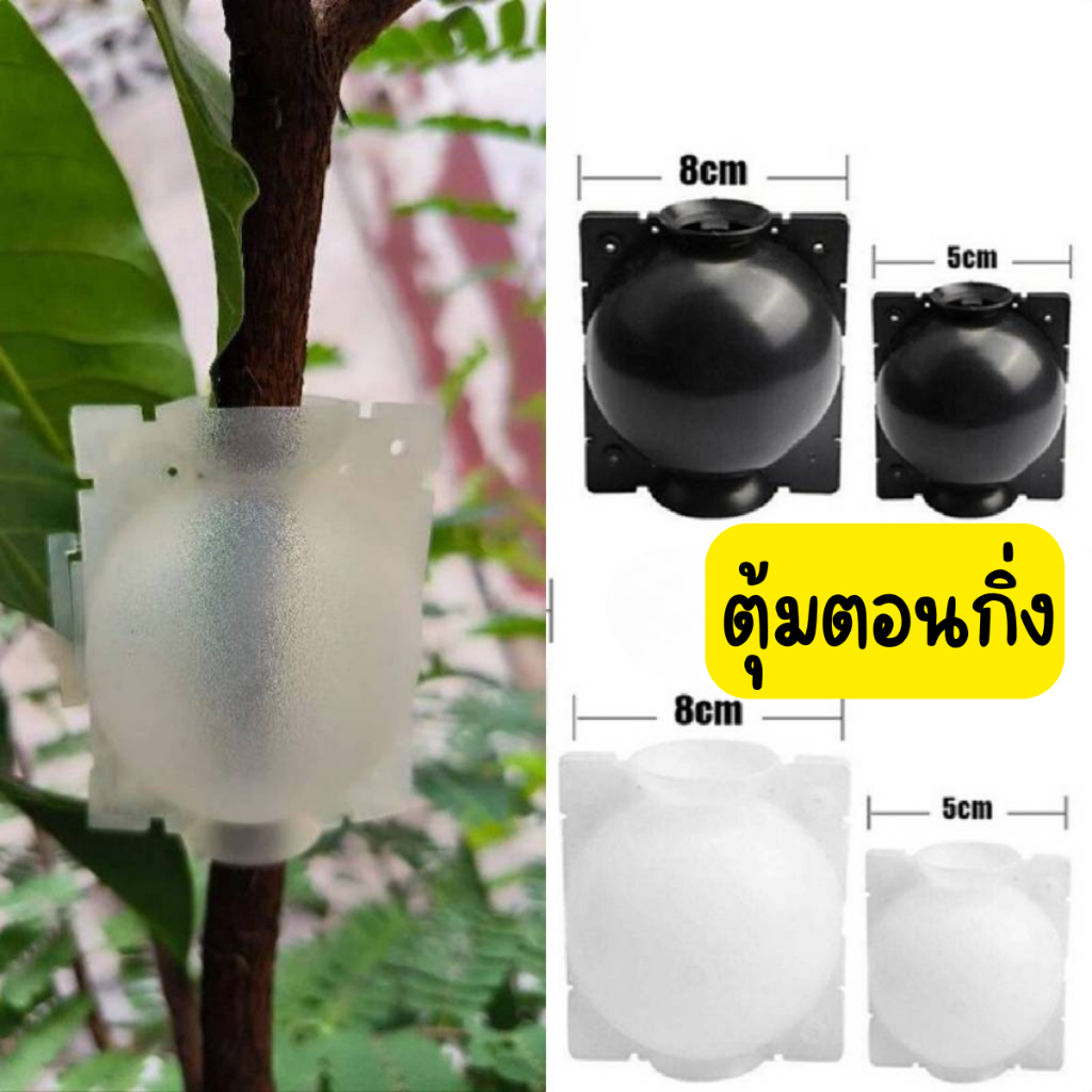 ถูกสุด ตุ้มตอนกิ่ง เกรดA หนาพิเศษ ใช้ซ้ำได้ ทนแดด ทนฝน