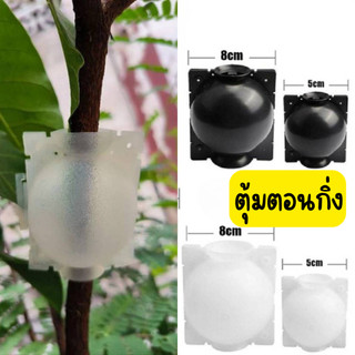(10 ชิ้น) ไซส์ S,M ตุ้มตอนกิ่งพลาสติก แข็งแรง ทนทาน ผลิตจากพลาสติกเกรด A