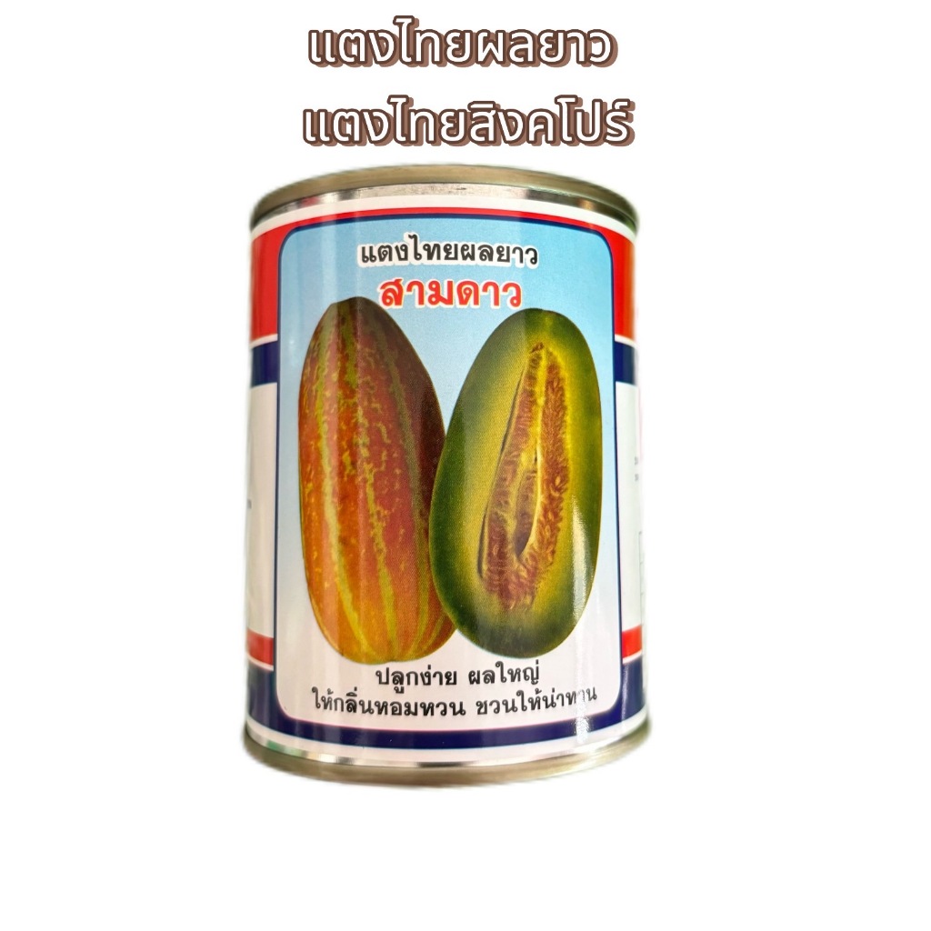 แตงไทยผลยาว สามดาว แตงไทยสิงคโปร์ ปลูกง่าย ผลใหญ่ กลิ่นหอม