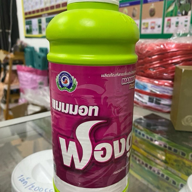 แมมมอท ฟองดู ขนาด 1 ลิตร│สาหร่าย+อมิโน|ธาตุอาหารเสริมพืช ฮอร์โมนพืช (ฟื้นต้นหลังเก็บเกี่ยว สร้างดอก เปิดตาดอก)