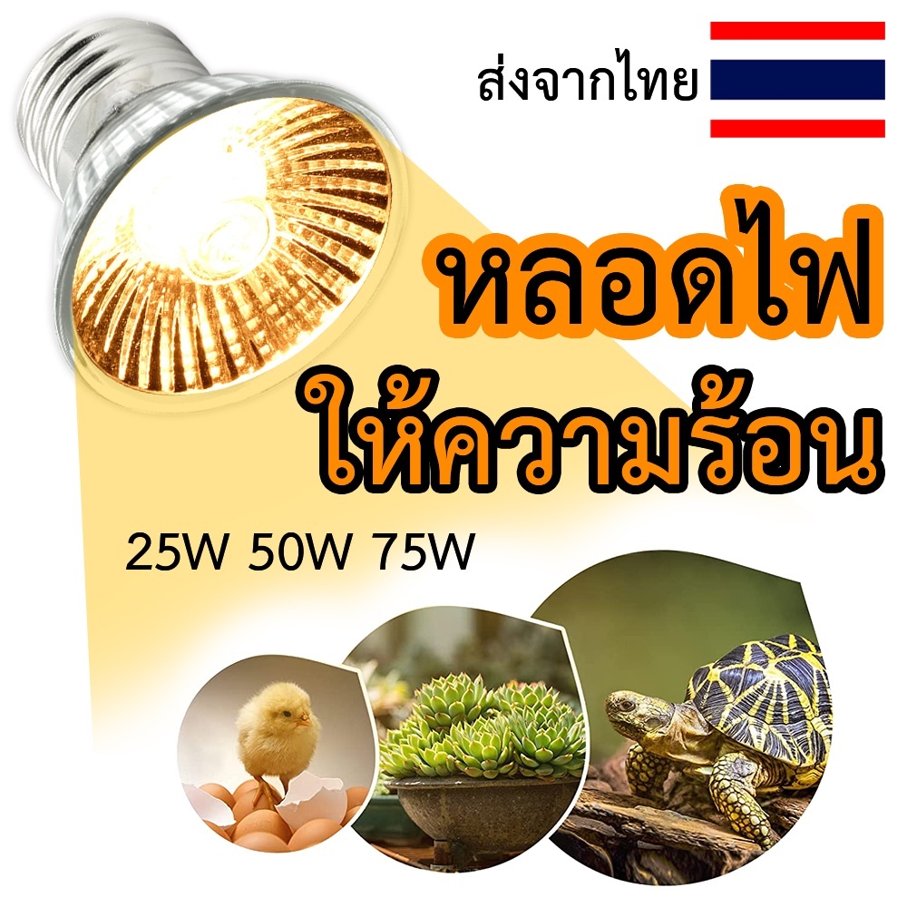 ขั้วหลอดไฟ E27 ขั้วหลอดไฟเซรามิก ขั้วหลอดไฟให้ความร้อน หลอดไฟ uva uvb ไฟอบอุ่นสัตว์ 25W 50W 75W