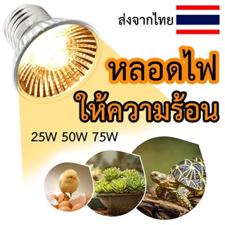 ขั้วหลอดไฟ E27 ขั้วหลอดไฟเซรามิก ขั้วหลอดไฟให้ความร้อน หลอดไฟ uva uvb ไฟอบอุ่นสัตว์ 25W 50W 75W