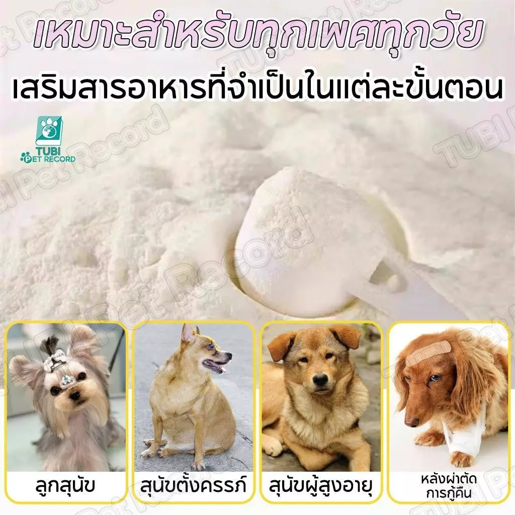 PETStar1 นมแพะผง 300g สำหรับลูกแมว-ลูกสุนัข โปรตีนสูง thumbnail 3