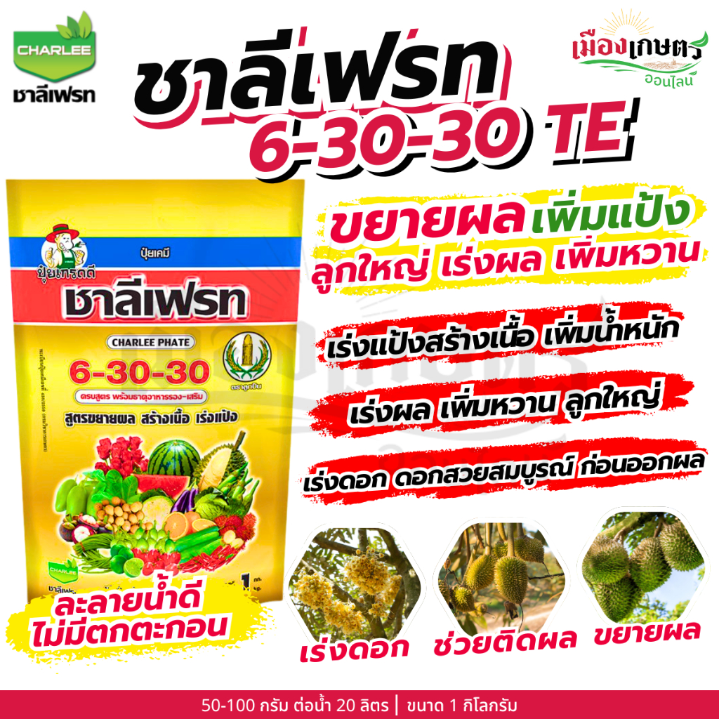 รูปภาพ 3