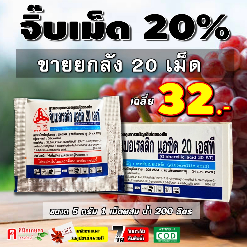 // แพ็ค 20 เม็ด // จิ๊บเม็ด ( 5 กรัม ) จิ๊บ บอเรลลิกแอซิด (Gibberrellic acid 20%) แบบเม็ด ละลายน้ำดี