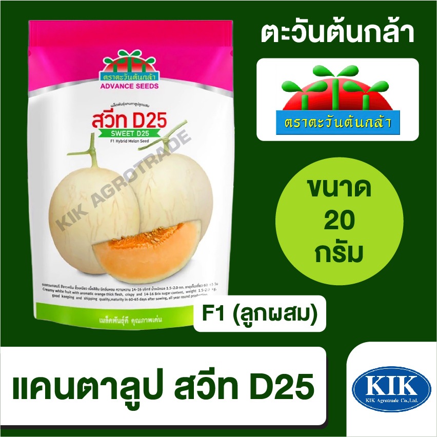 เมล็ดพันธุ์ ตะวันต้นกล้า แคนตาลูป สวีท D-25 SP BIG  (ซอง) ขนาด 20 กรัม