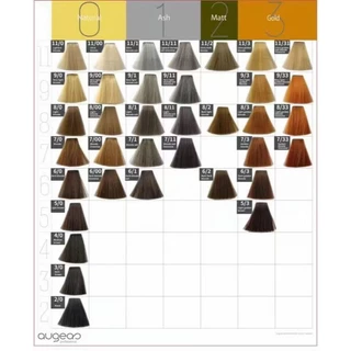 น้ำยาย้อมผม AUGEAS Hair Color Cream ครีมเปลี่ยนสีผม ขนาด 100 ml