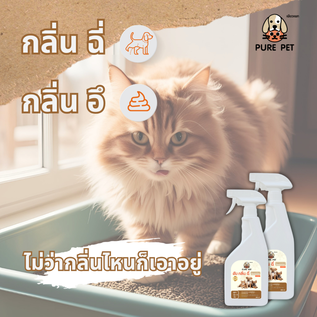 ดับกลิ่นสัตว์เลี้ยงอย่างอ่อนโยนด้วย PURE PET