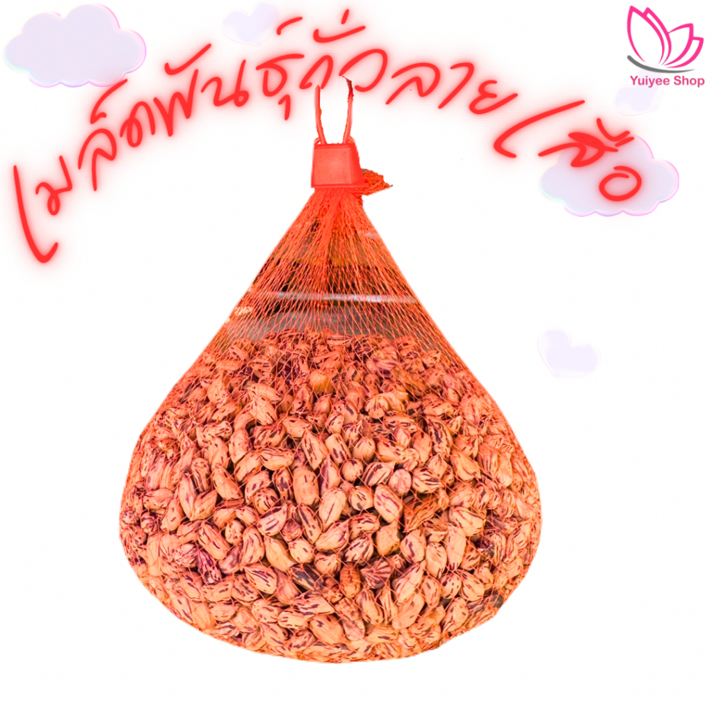 ถั่วลายเสือดิบแบบเมล็ดจังหวัดแม่ฮ่องสอน