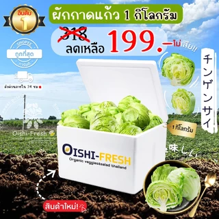 🛒Oishi-Fresh🥬ผักกาดแก้ว ปลอดสารพิษ 1 กก. รสชาติกรอบ สด ใหม่ ใยอาหารสูง หวานออร์แกนิค ผัก เคลมได้ 1-2 วัน