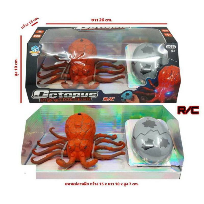 ปลาหมึกบังคับราคากล่อง310บาท