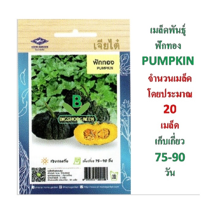 5 แถม 1 เมล็ดพันธุ์ ฟักทอง  เจียไต๋