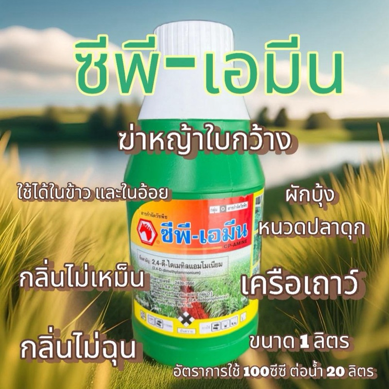 ซีพีเอมีน ขนาด1 ลิตร (2-4 ดี) ปราบหญ้าใบกว้าง กลิ่นไม่เหม็น