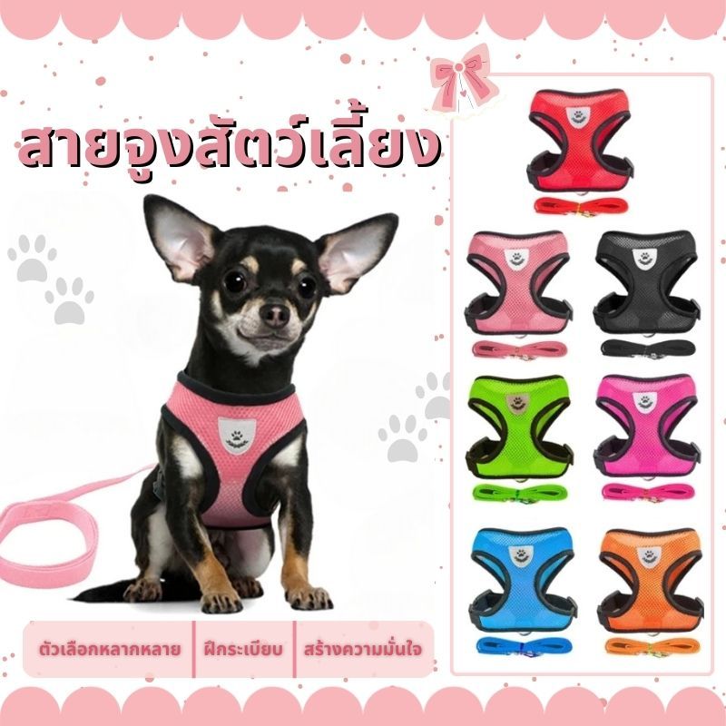 สายจูงรัดอกสัตว์เลี้ยง หมา แมว สายจูงสุนัข แมว เสื้อรัดอก สายจูง หมา แมว ราคาถูก พร้อมส่ง มีหลายสีให้เลือก มีหลายขนาด