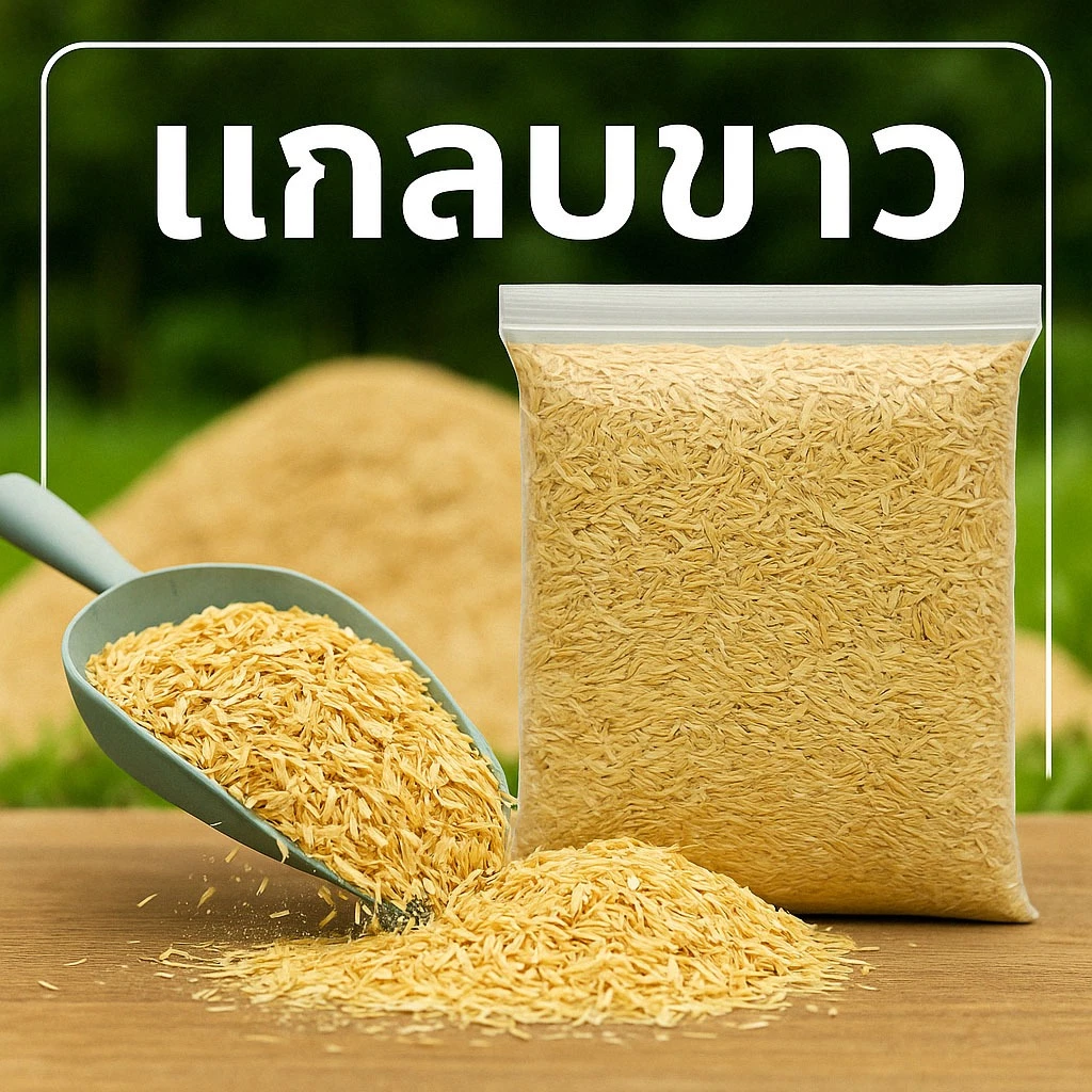 (2ถุง50)(ส่งฟรีทักแชท)แกลบดิบ คุณภาพดี ถุงใหญ่ ขนาดประมาณ 1กิโลกรัม(น้ำหนักขึ้นอยู่กับความชื้น)