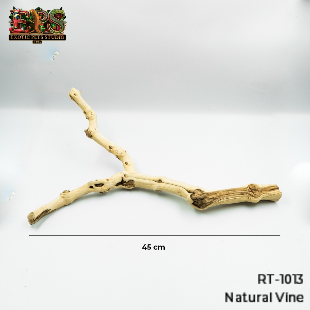 กิ่งไม้ Natural Vine กิ่งไม้ตกแต่งธรรมชาติ ตกแต่งจัดตู้ กิ่งไม้ประดับ กิ่งไม้จากต้นไม้แท้ทนทานไม่ขึ้น