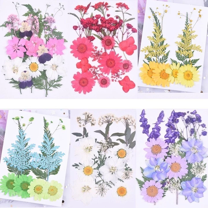 ดอกไม้จริงทับแห้ง รวมผสมดอกไม้หลากหลายชนิด แต่งเคสโทรศัพท์เรซิ่น เครื่องประดับต่าง diy