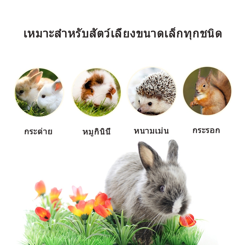 😸Dogelsy กรงแมว 2ชั้น กรงกระต่าย กรงแมวพับได้ กรงสัตว์เลี้ยง มีถาดรองฉี่ ชั้นลอยพร้อมบันได - รูปที่ 5